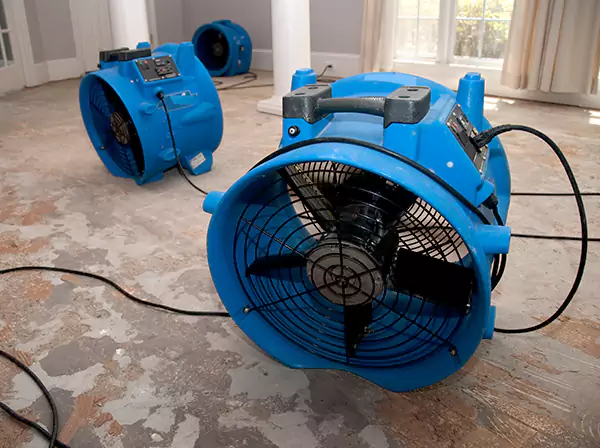 Water Damage Reconstruction in Dahlonega