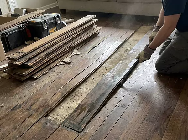 Water Damage Drying in Dahlonega