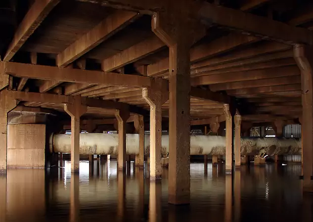 Your Water Damage Mitigation Experts in Dahlonega, GA