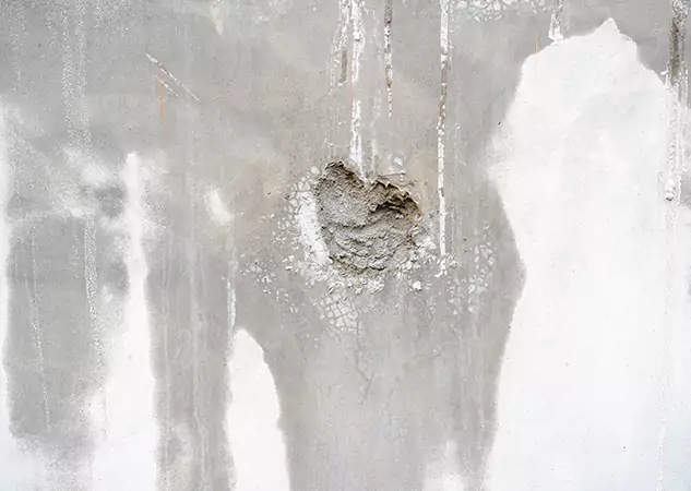 Your Mold Mitigation Solutions Partner in Dahlonega, GA