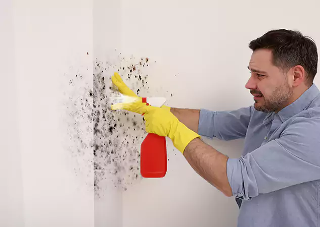 Your Water Mold Fire Restoration Partner in Dahlonega, GA