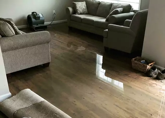 Your Trusted Restoration Company in Dahlonega, GA