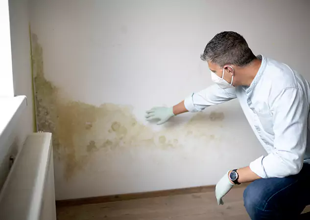 Reach Our Remediation Team Before Damage Grows in Dahlonega, GA!