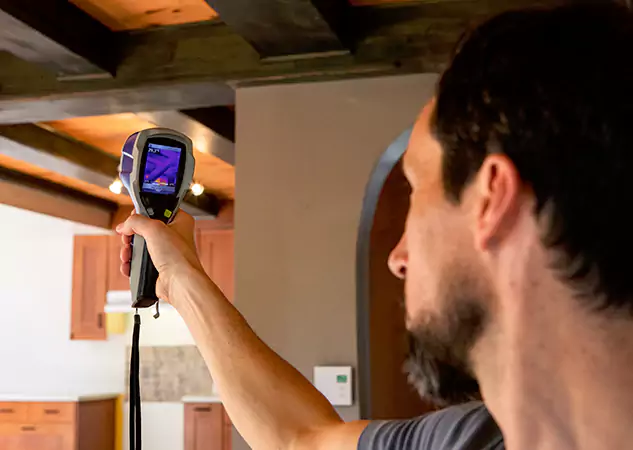 Trusted Water Damage Evaluation: Your Certified Partner in Dahlonega, GA