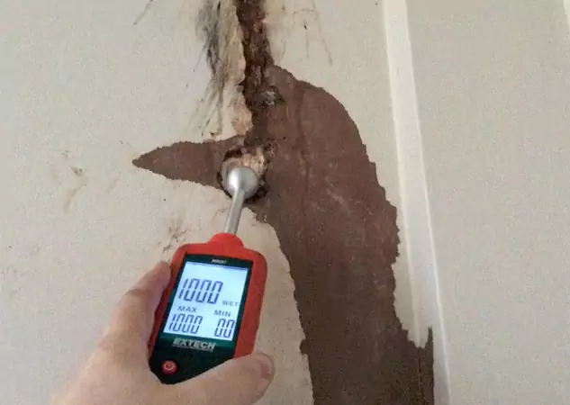 Your Water Damage Assessment Partner in Dahlonega, GA