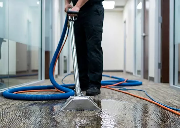 Your Water Damaged Carpet Restoration Partner in Dahlonega, GA