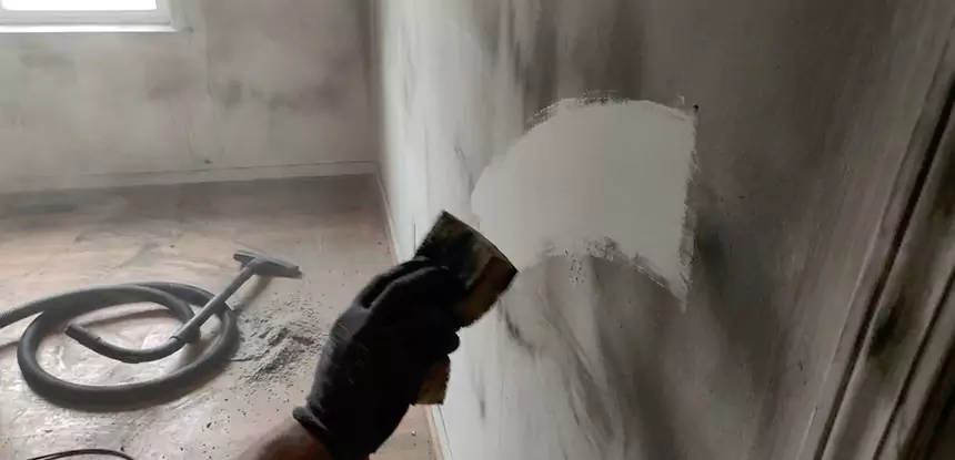 Professional Water and Fire Damage Restoration Services in Dahlonega, GA