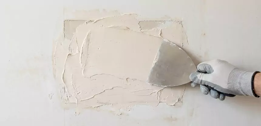 Professional Mold and Drywall Repair Services in Dahlonega, GA