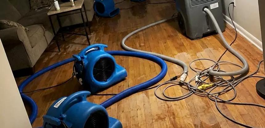 Basement Flood Restoration Services in Dahlonega