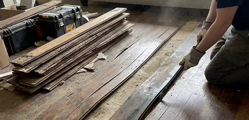 Wood Rot and Fungus Repair in Dahlonega