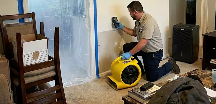 Carpet Water Damage Repair Dahlonega