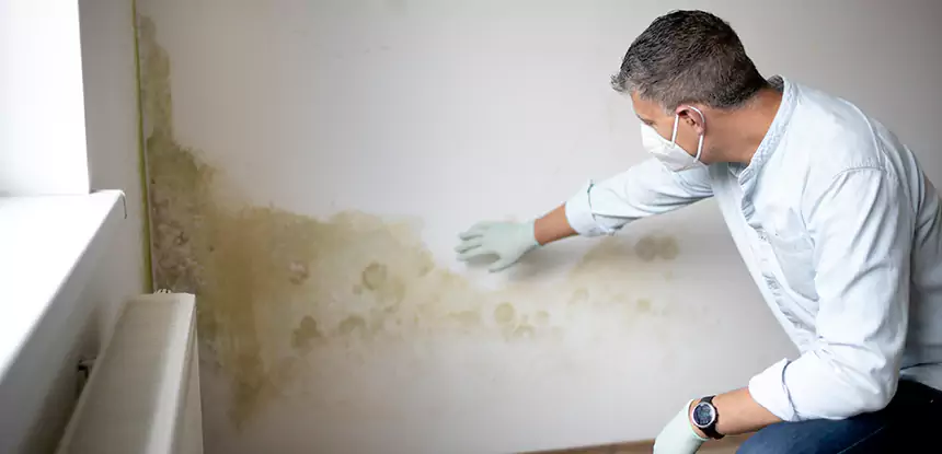 Mold and Water Damage Repair in Dahlonega