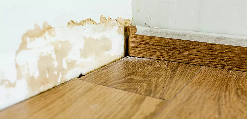 Professional Fix Water Damaged Wood Services in Dahlonega, GA