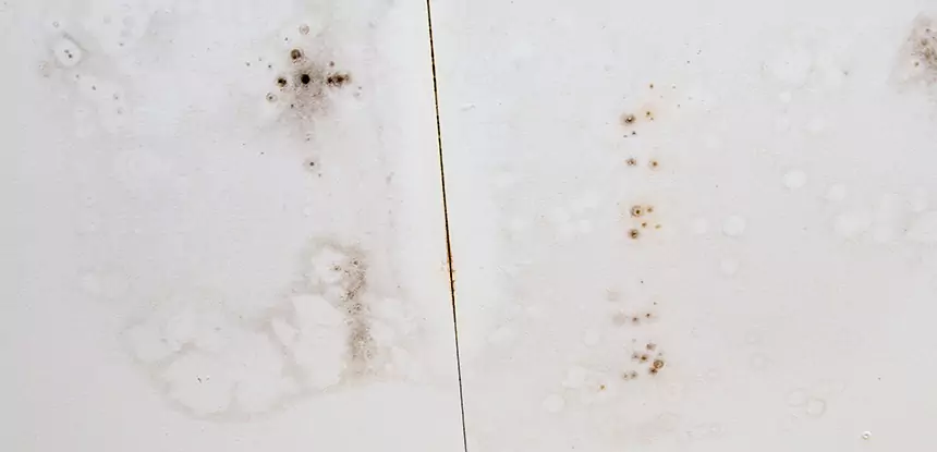 Professional Water Stain Repair Services in Dahlonega, GA