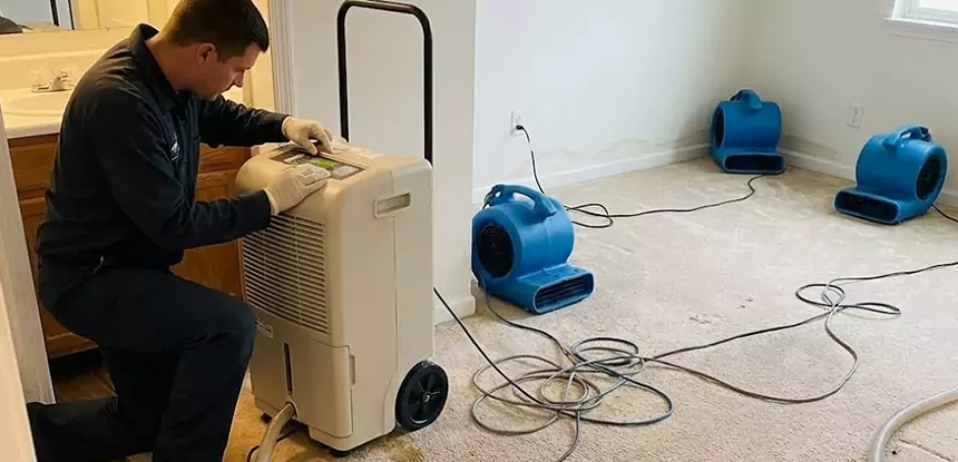 Professional Wet Carpet Removal Services in Dahlonega, GA