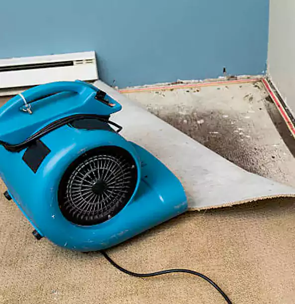 Why Dahlonega Trusts Dahlonega Restoration Pro for Carpet Flood Recovery?