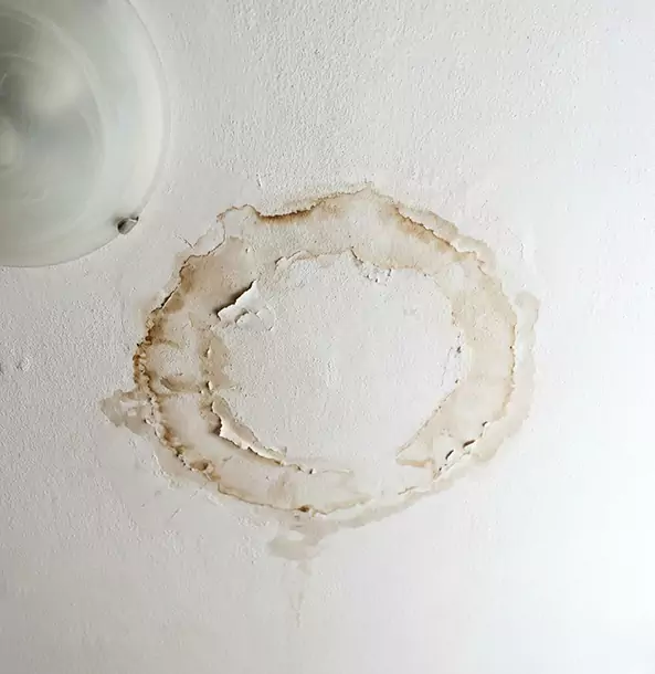 Why Dahlonega Property Owners Choose Dahlonega Restoration Pro for Ceiling Water Damage Restoration?
