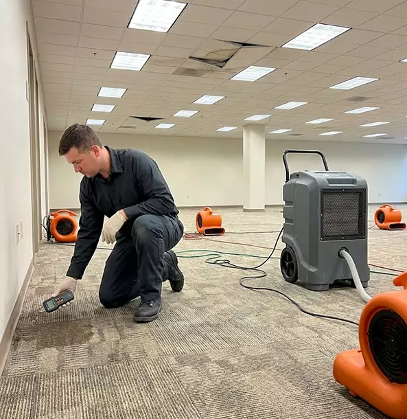 Why Dahlonega Businesses Choose Dahlonega Restoration Pro for Water Cleanup?