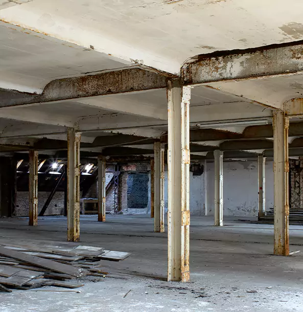 What Makes Our Crawl Space Services Stand Out in Dahlonega, GA?