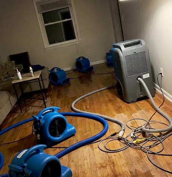 Why Dahlonega Calls Dahlonega Restoration Pro First for Emergency Restoration?