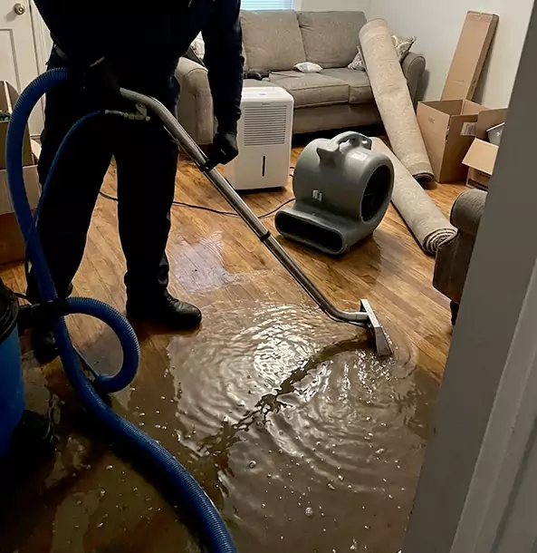 Why Dahlonega Trusts Dahlonega Restoration Pro for Flood Cleanup?