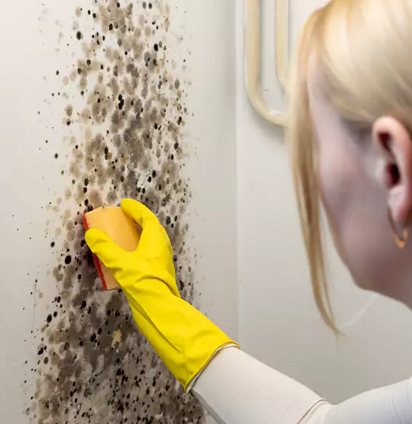 Why Dahlonega Restoration Pro Leads Mold Remediation in Dahlonega?