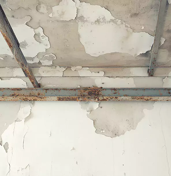 Why Dahlonega Restoration Pro Is the Right Choice in Dahlonega, GA?