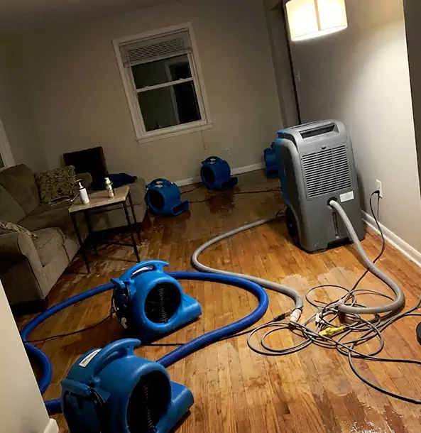 Why Dahlonega Property Owners Rely on Dahlonega Restoration Pro for Remediation?