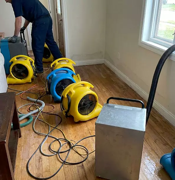 Why Dahlonega Property Owners Choose Dahlonega Restoration Pro for Remediation?