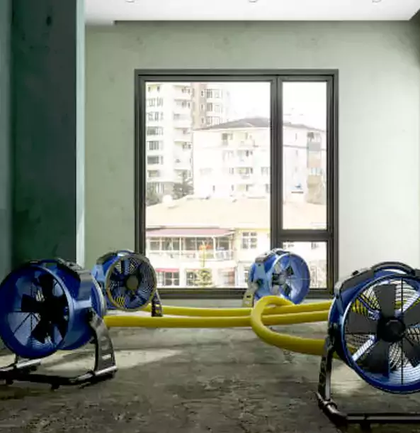 Why Dahlonega Property Owners Trust Dahlonega Restoration Pro for Water Damage Drying?