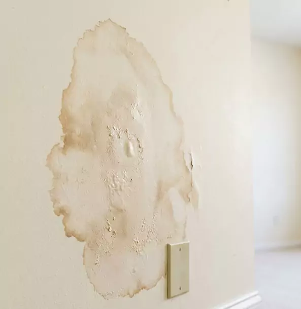 Why Dahlonega Homeowners Trust Dahlonega Restoration Pro for Drywall Restoration?