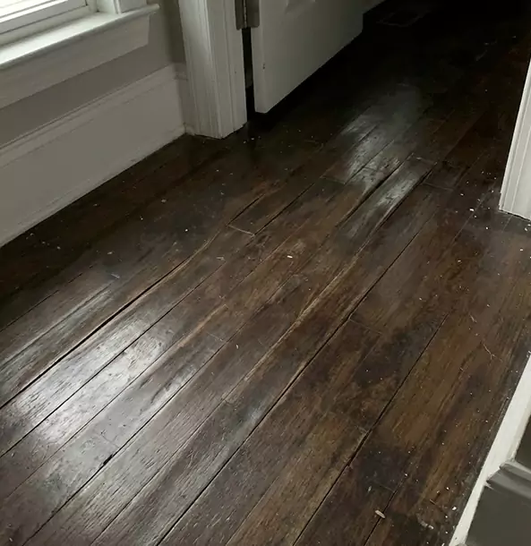 Why Dahlonega Homeowners Trust Dahlonega Restoration Pro to Fix Water Damaged Wood?