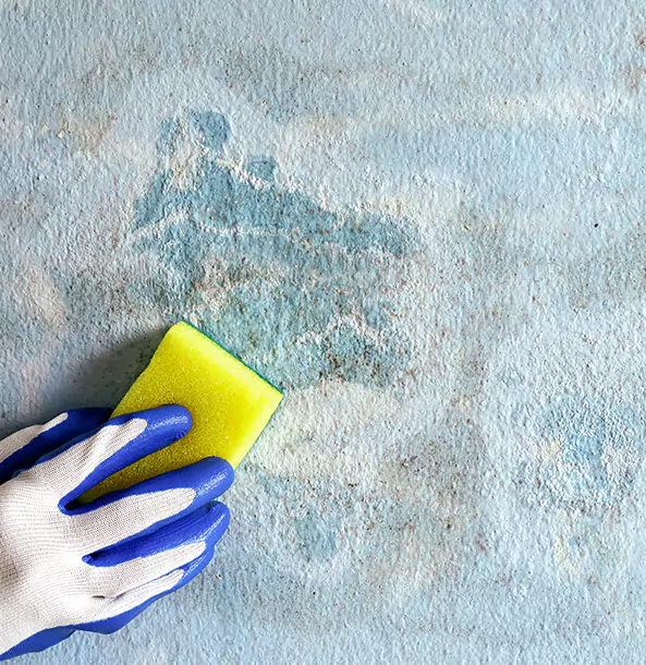 Why Dahlonega Restoration Pro Is the Right Choice in Dahlonega, GA?