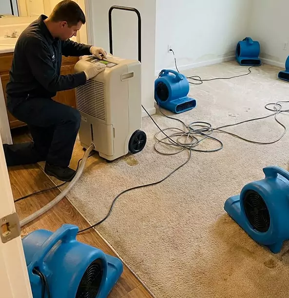Why Dahlonega Homeowners and Businesses Trust Dahlonega Restoration Pro for Carpet Drying?