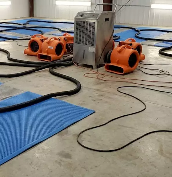 Why Dahlonega Homeowners and Businesses Choose Dahlonega Restoration Pro for Wet Carpet Removal?