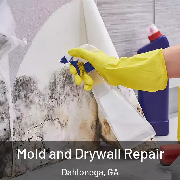 Mold and Drywall Repair Dahlonega, GA