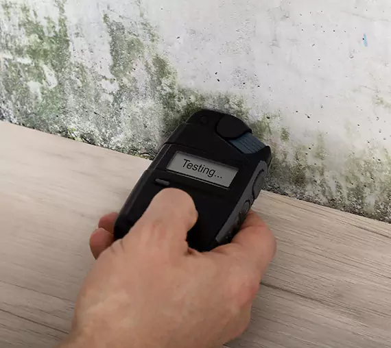Mold Remediation Service Dahlonega