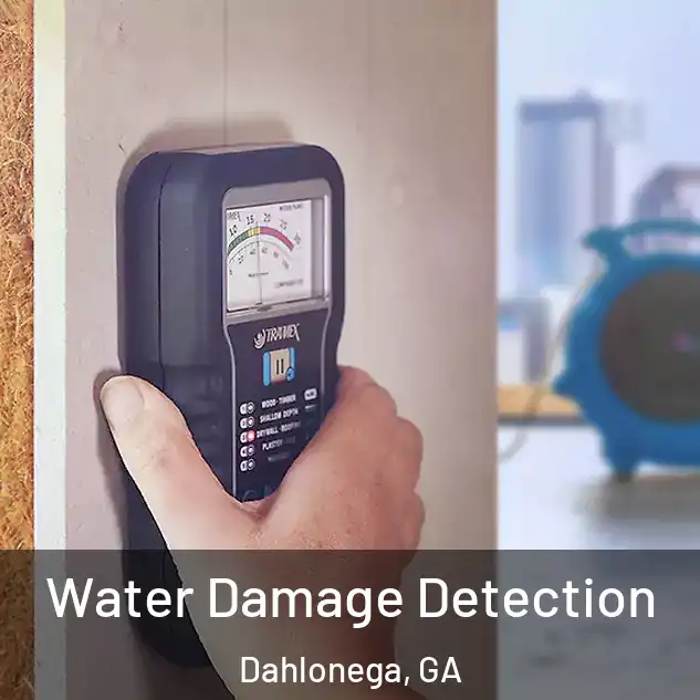  Water Damage Detection Dahlonega, GA