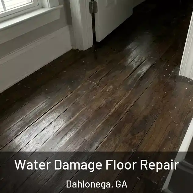  Water Damage Floor Repair Dahlonega, GA