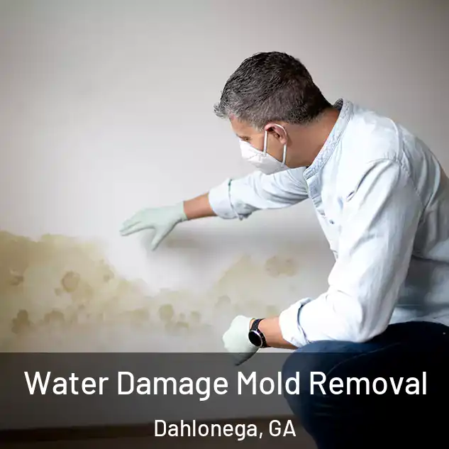  Water Damage Mold Removal Dahlonega, GA