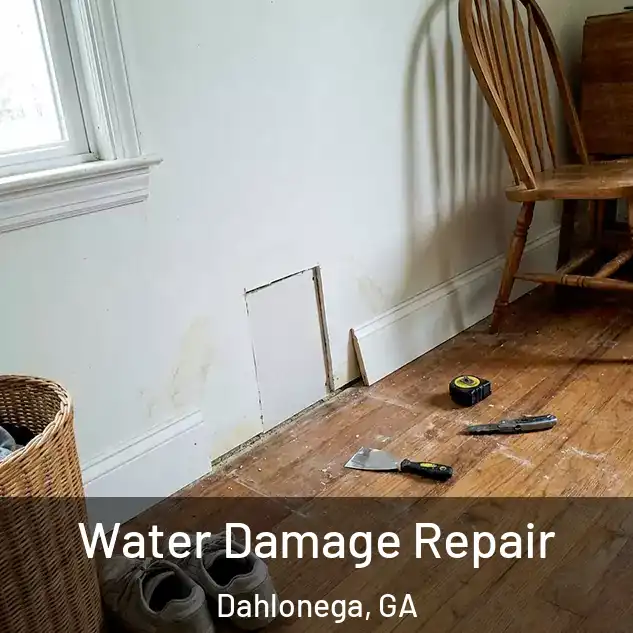  Water Damage Repair Dahlonega, GA