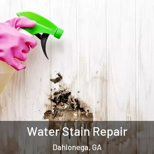  Water Stain Repair Dahlonega, GA