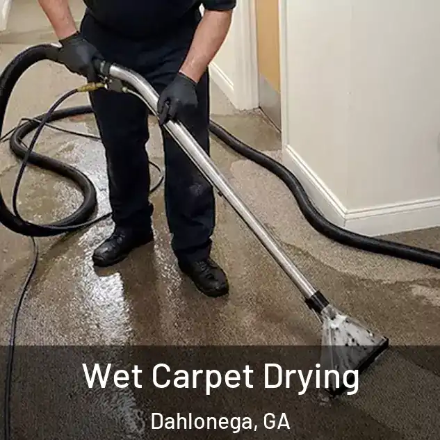  Wet Carpet Drying Dahlonega, GA